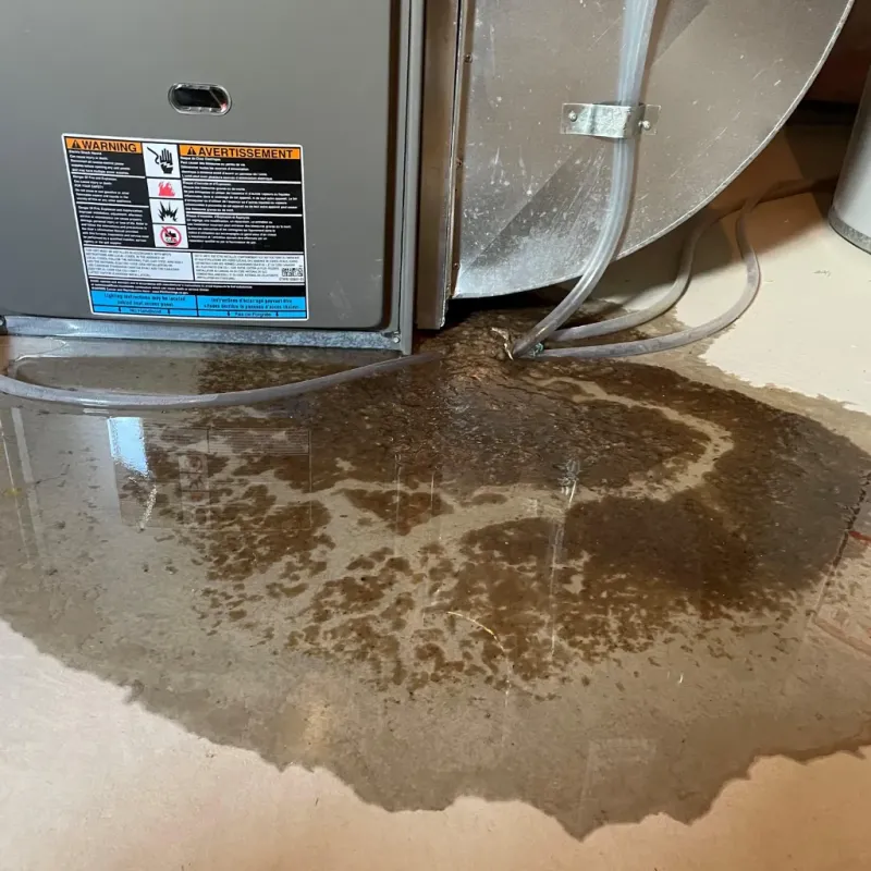 Appliance Leak Cleanup in Locust Grove, GA